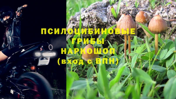 ПСИЛОЦИБИНОВЫЕ ГРИБЫ Куйбышев