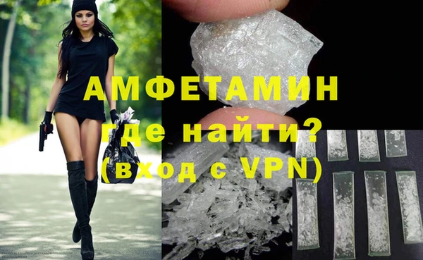 крисы Корсаков